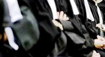 Kairouan-Branche des avocats: Le CSM n’a présenté aucun projet de réforme du système judiciaire [Vidéo]