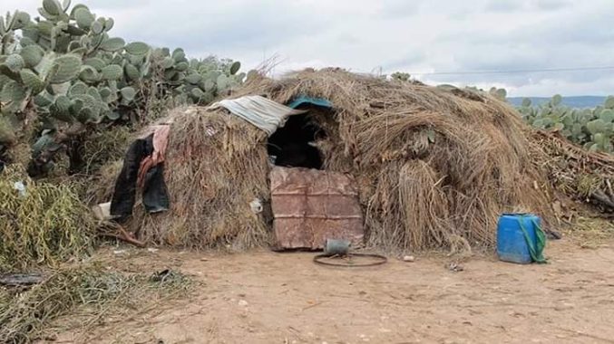 Tunisie-Ministère de la Femme : La famille qui vit dans une hutte a refusé de déménager dans un logement location