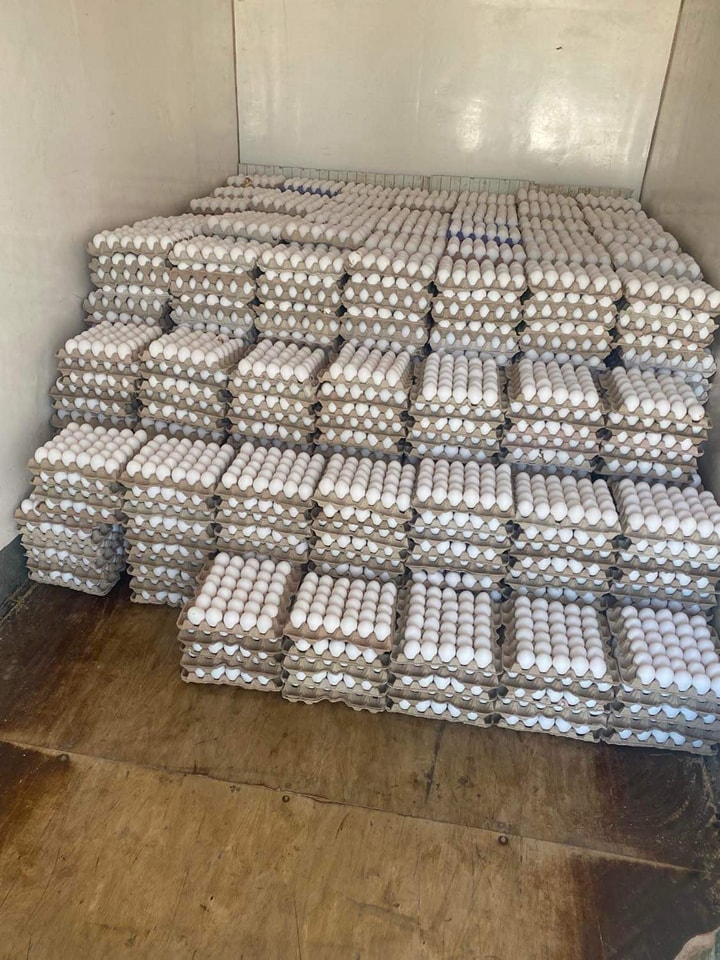Sfax: Saisie de plus de 31 mille œufs destinés à la vente illégale