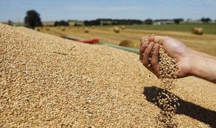 Anis Ben Rayana : La Tunisie importera plus de 26 millions de quintaux de céréales