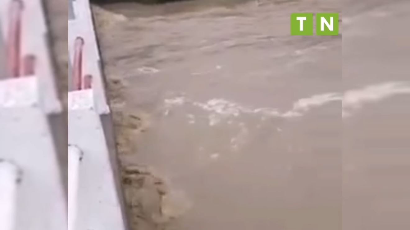 Jendouba: Hausse du niveau des eaux de l’Oued Raghay [Vidéo]