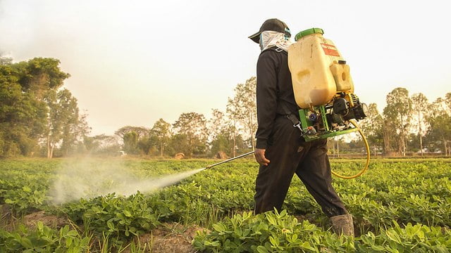 Agriculture-Tunisie: Appel au retrait de 30 pesticides” toxiques” du marché !