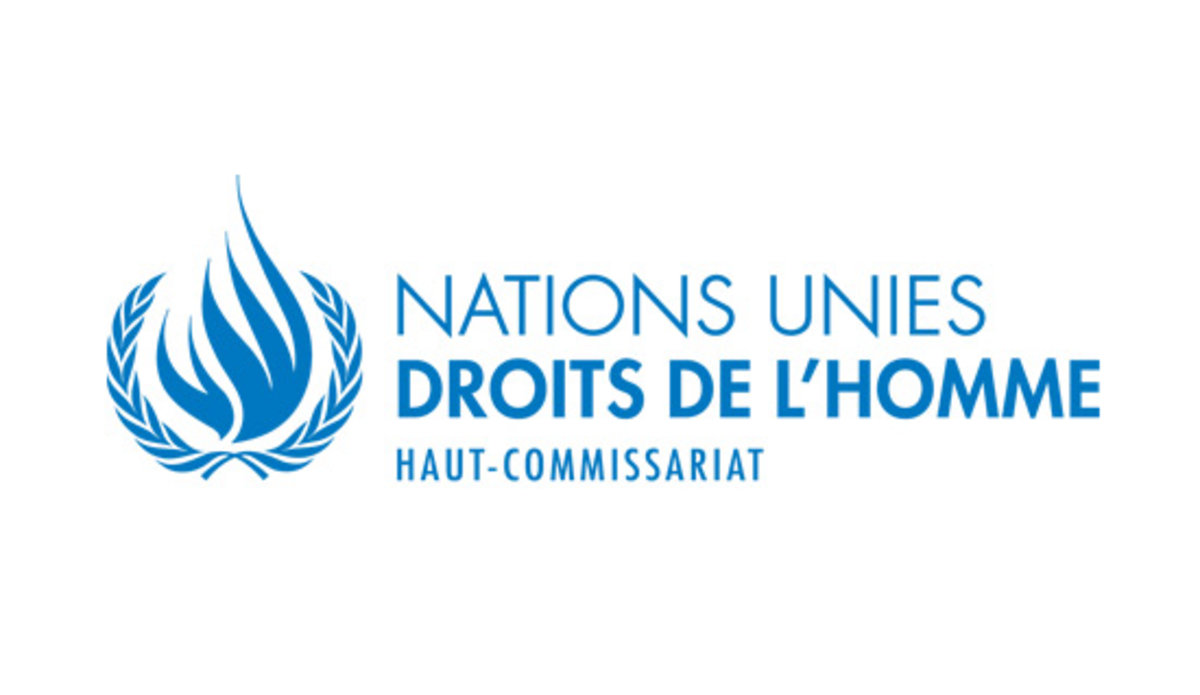 Affaire Bhiri: Le HCDH met la Tunisie dans une mauvaise posture