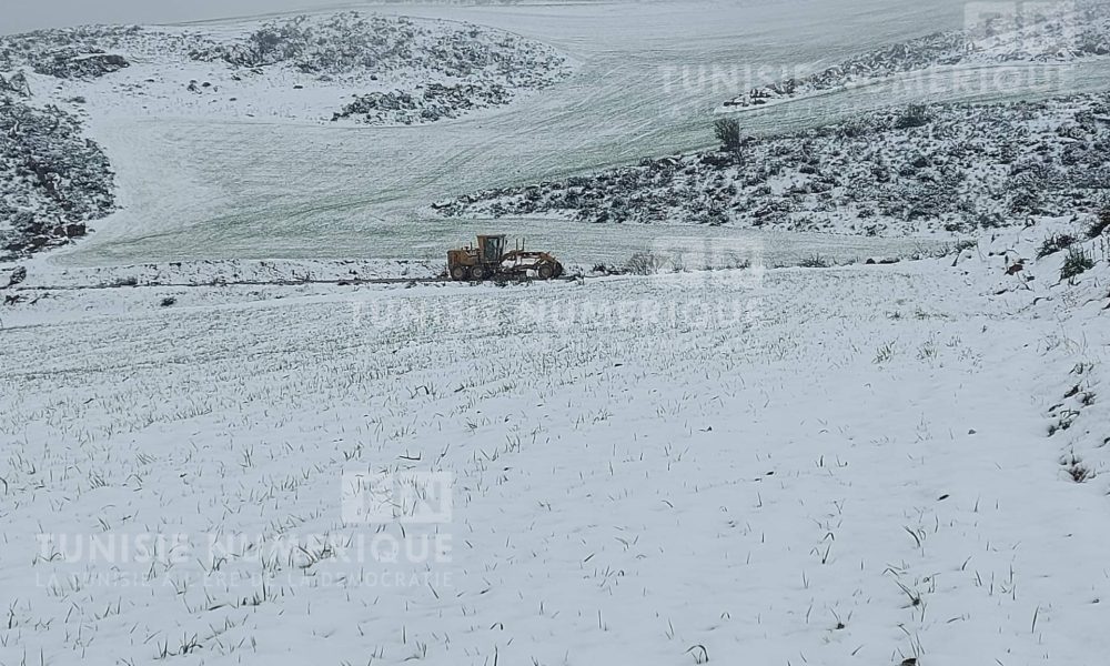 Chutes de neige à Béja: Les services de la direction régionale de l’Equipement interviennent [Photos]