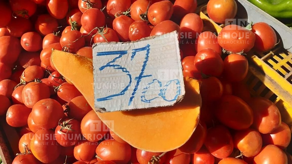 Photo du jour: 1Kg de citrouille à 3,7 dinars!