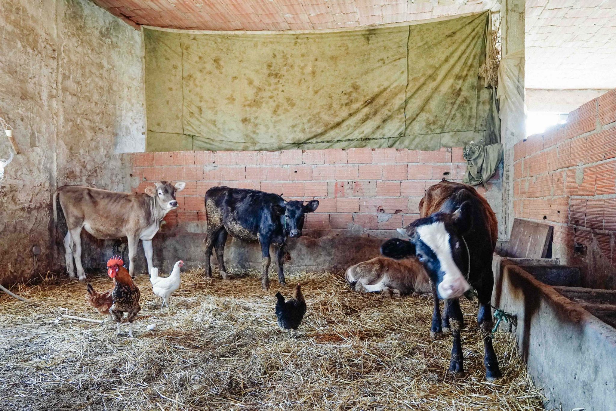 Investissement agricole : Les chiffres incohérents de l’APIA