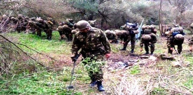 L’armée algérienne annonce l’élimination de sept terroristes