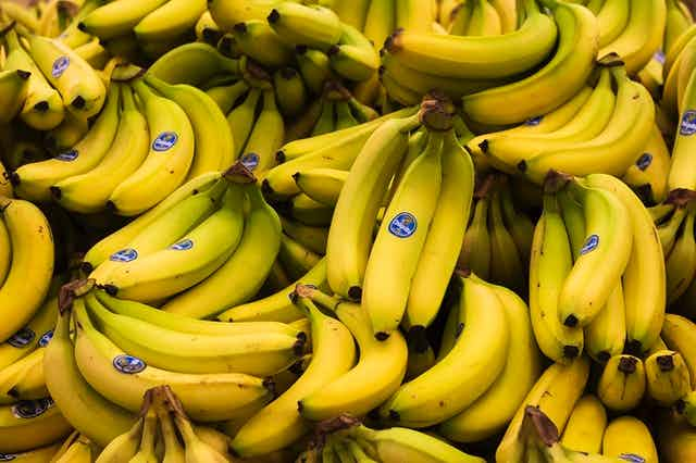 Tunisie-Lutte contre la spéculation : Saisie de 6 tonnes de bananes à Mornag