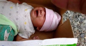 Tunisie – Aïn Draham : Un bébé de 30 jours abandonné dans un carton en bord de route