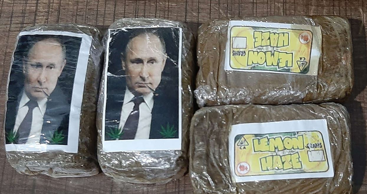 Saisie des plaquettes de cannabis à l’effigie de Vladimir Poutine en Libye