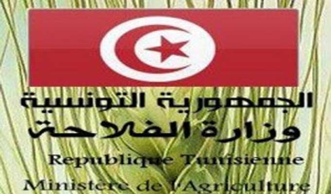 Tunisie – Ramadan : Mise en place de huit points de vente du producteur au consommateur