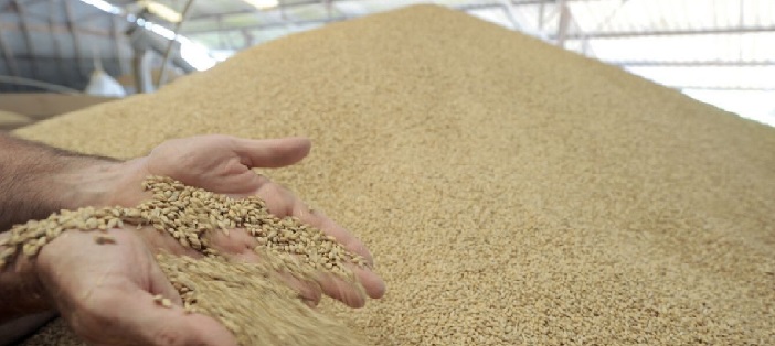 L’Ukraine suspend ses exportations de blé