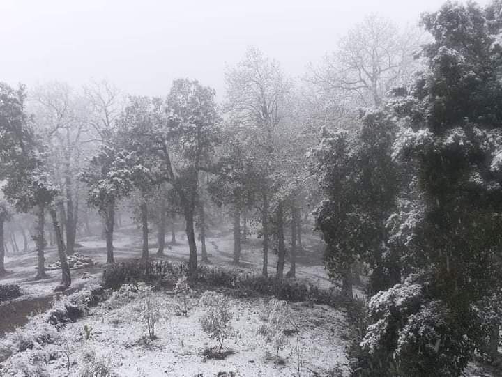 Chutes de neige à Thala-Jaouher Chaabeni : « Le comité local de gestion des catastrophes est en session permanente »