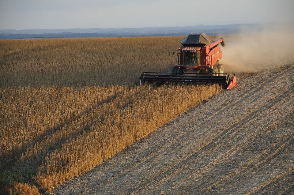 Tataouine: Distribution de 5 mille quintaux d’orge fourragère