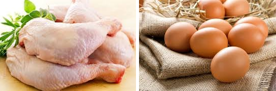 Ramadan: Voici tous les détails sur les prix des volailles et des œufs