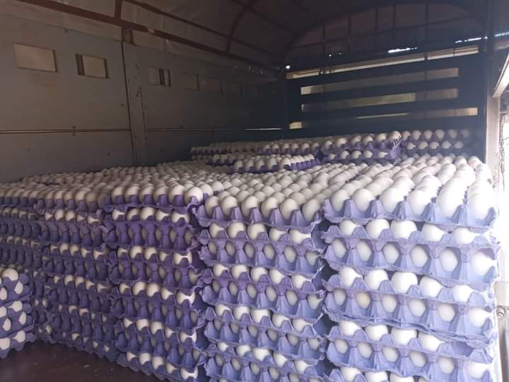 Kasserine : Saisie d’une grande quantité d’œufs et de semoule
