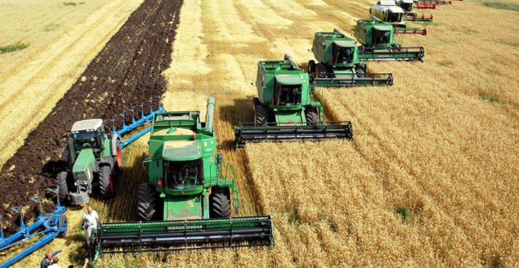 Guerre en Ukraine, flambée des prix du blé et les retombées sur l »économie tunisienne
