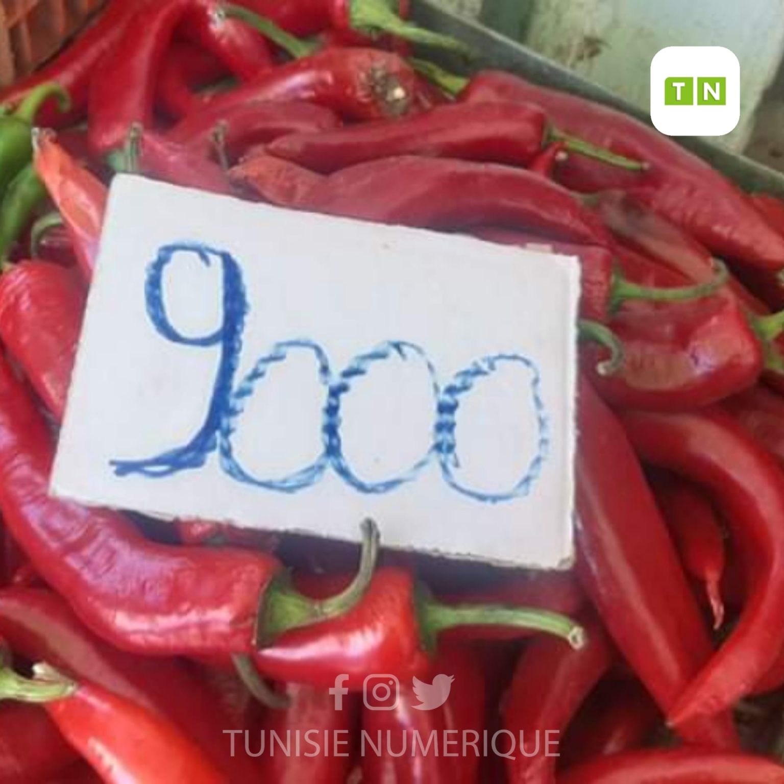 Photo du jour à Hammam Sousse: Le kilo de piment à 9 dinars ! [Photo]