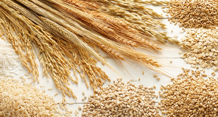 Tunisie: 5,3 millions de quintaux de céréales collectées