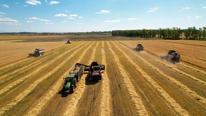 La Russie décide de ne plus exporter de produits agricoles qu’aux « pays amis »