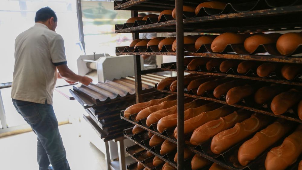 Gafsa: Annulation de la grève des propriétaires de boulangeries