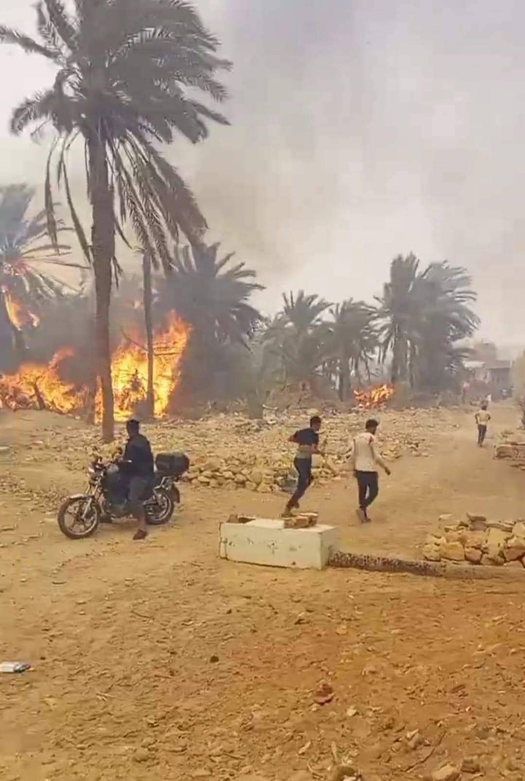 Gabès: 100 palmiers détruits par un incendie