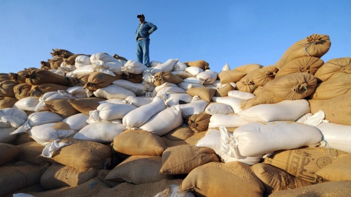 Choquant : Le cours mondial du blé massif augmente de 90%, la Tunisie dans la tourmente