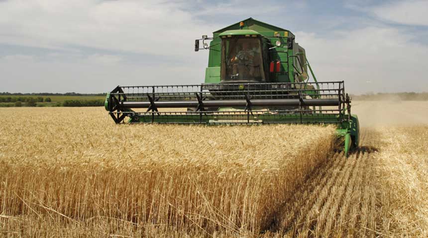 Menaces sur la récolte des céréales en Tunisie…