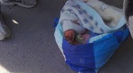 Tunisie – Nabeul : Un nouveau-né jeté en bord de route