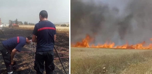 Tunisie – Incendie des champs de blé : Et c’est reparti !