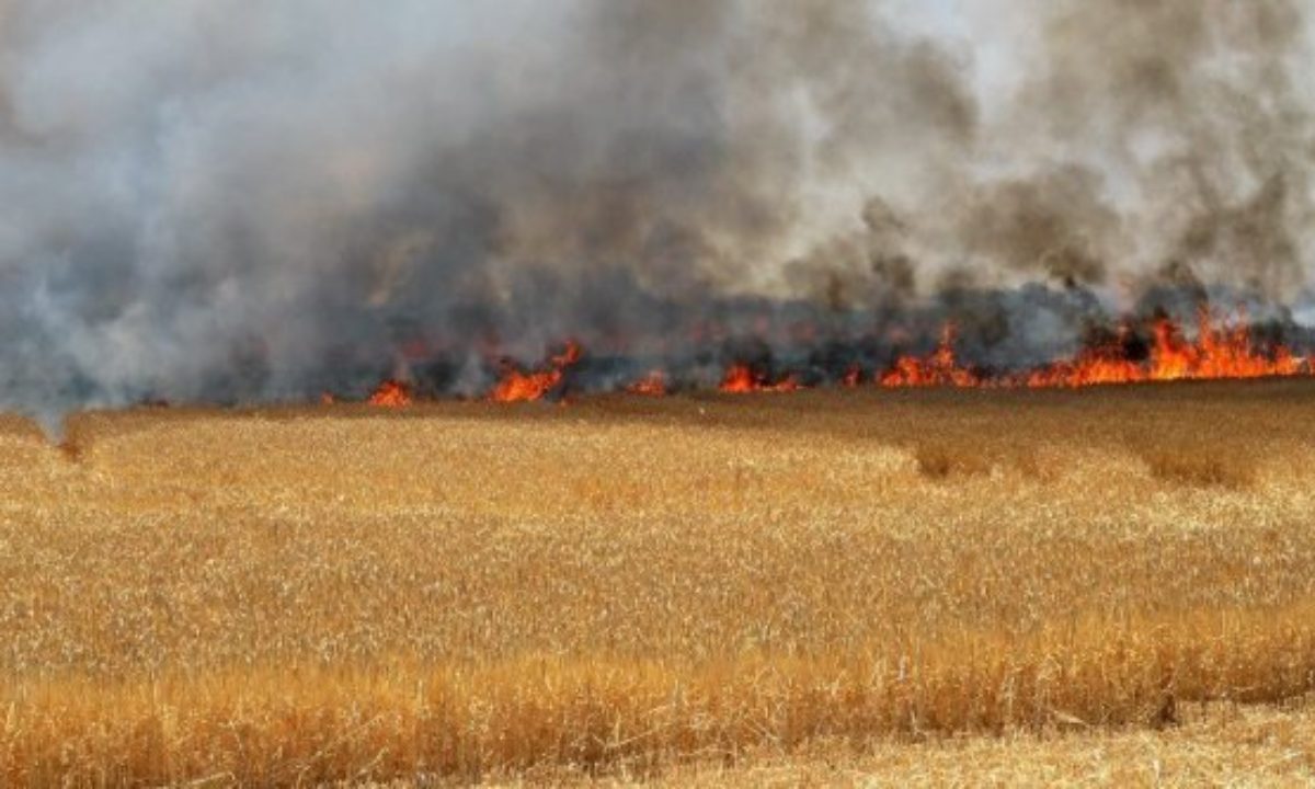Tunisie-Bizerte : Un incendie déclaré dans une ferme à Mateur a été maitrisé