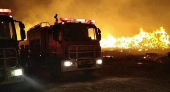 Tunisie – VIDEO : Le ministère de l’intérieur dévoile les causes des incendies qui ont ravagé des régions du pays