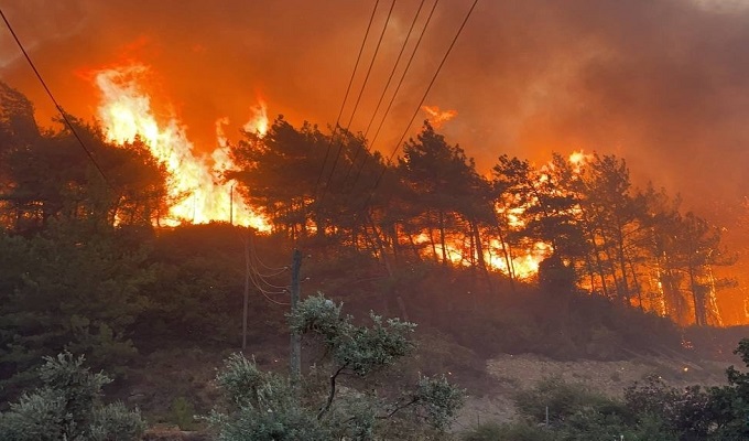 Ministère de la Défense: 40 vols pour maîtriser l’incendie du Djebel Boukornine