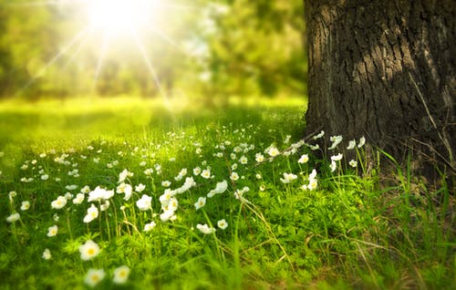 Météo: Un air de printemps… mais des vents à surveiller !