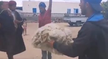 Tunisie [VIDEO] : La saison de la tonte à Kairouan, un carnaval populaire