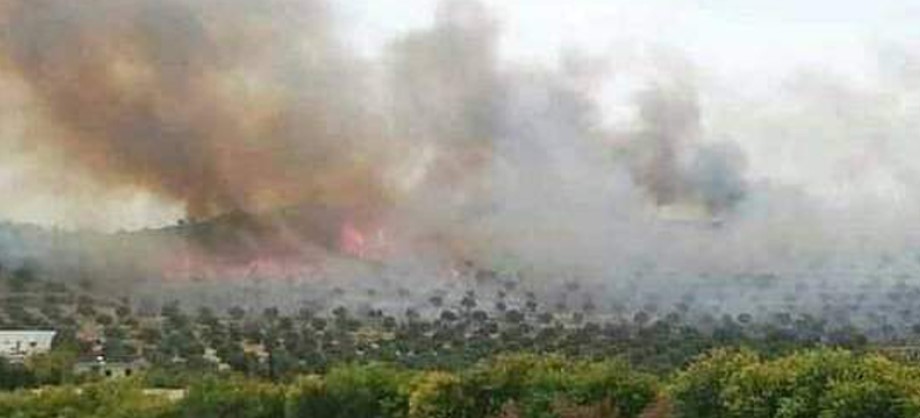 Tunisie – Tebourba : Un incendie aurait pu causer une catastrophe