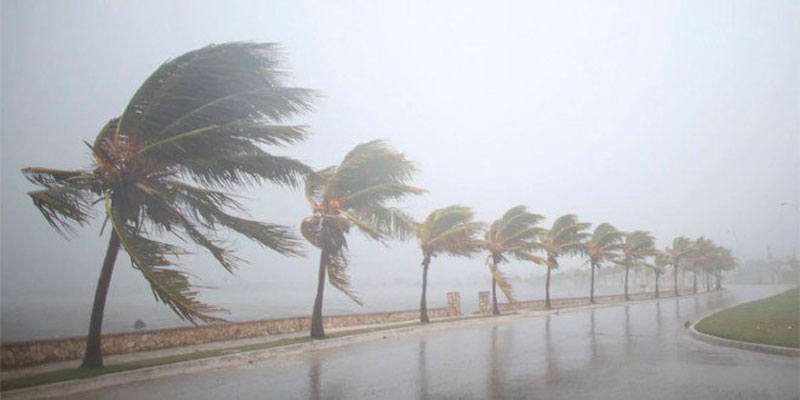 Tunisie – Pluies éparses et orageuses et vents forts