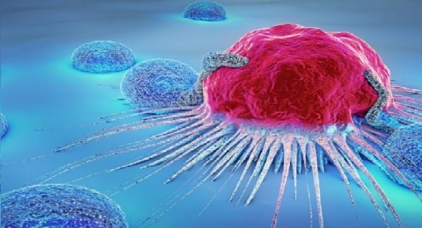 Un virus « tueur de cancer » testé pour la première fois sur l’Homme