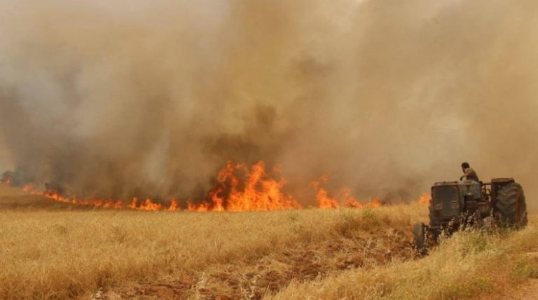 Béja: La foudre à l’origine d’un incendie dans un champ de blé