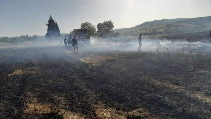 Ghardimaou: un incendie ravage 3 ha de Blé