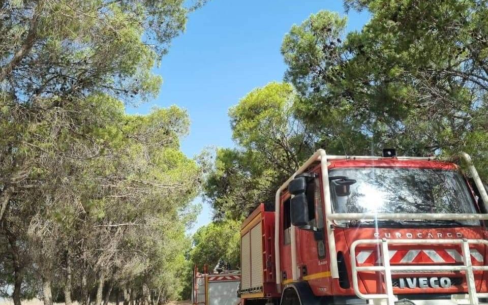 L’incendie de Medjez El Bab maîtrisé [Photos]