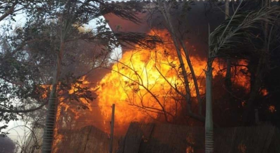 Tunisie – Un incendie ravage des vergers d’orangers à Menzel Bouzelfa