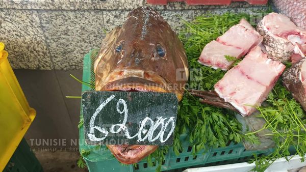 Prix ​​du poisson au marché de Sousse (Photos)