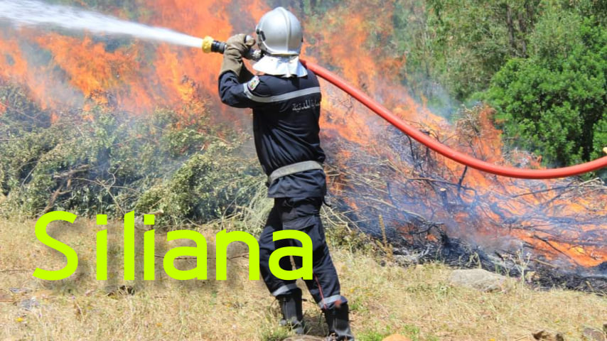 Siliana: L’incendie au Mont Bayadh maîtrisé à 90%