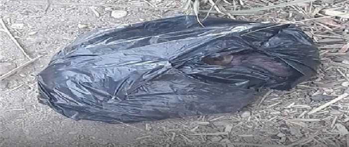 Tunisie – Menzel Temime : Découverte du cadavre d’un nouveau-né jeté dans un sac en plastique