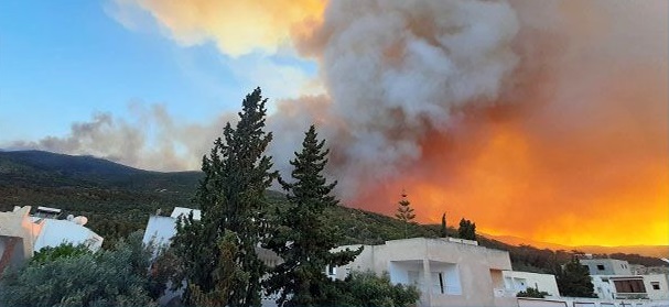 La Tunisie brûle : Grand incendie à Dar Chaabene El Fehri