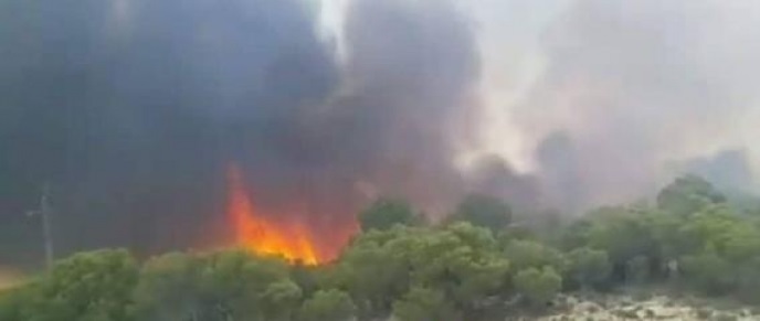 LA TUNISIE BRÛLE : Grand incendie à Jebel Essarj El Oueslatia