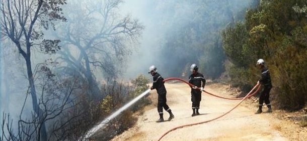 Tunisie – Jendouba : Des feux de forêt en série !