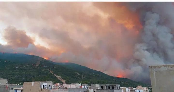 Tunisie – Vidéo – Images : SPECTACULAIRE : Un énorme incendie dévore la montagne à Borj Cedria