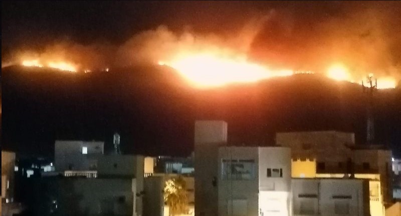 Tunisie – Le feu ne présente plus de menaces pour les zones d’habitation à Boukornine